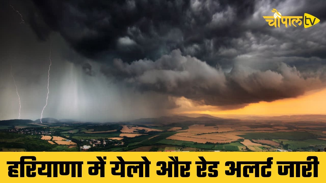 Haryana Weather: हरियाणा में मौसम को लेकर येलो और रेड अलर्ट जारी, जानें अगले 7 दिन का वेदर रिपोर्ट