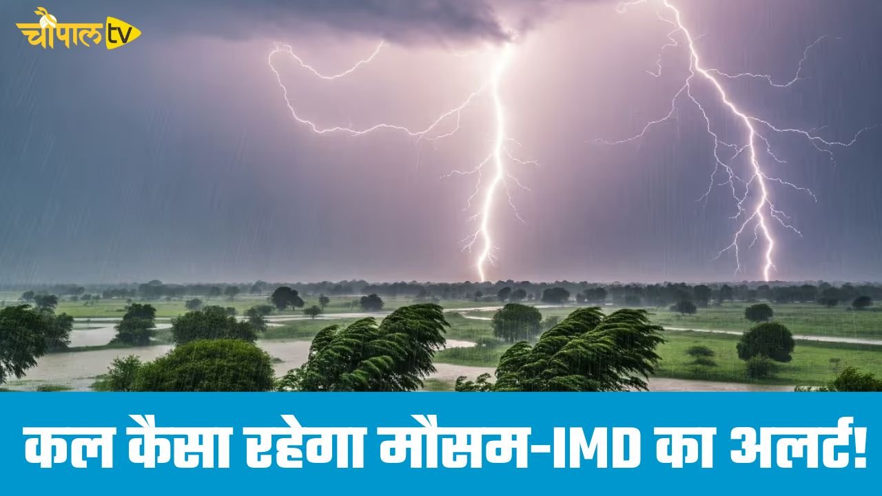 Kal Ka Mousam: हरियाणा समेत देशभर में कल कैसा रहेगा मौसम, IMD ने जारी किया अलर्ट !