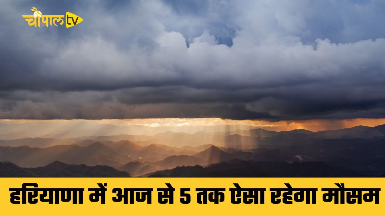 Haryana weather: हरियाणा में आज से 5 तक ऐसा रहेगा मौसम, देखें नई रिपोर्ट