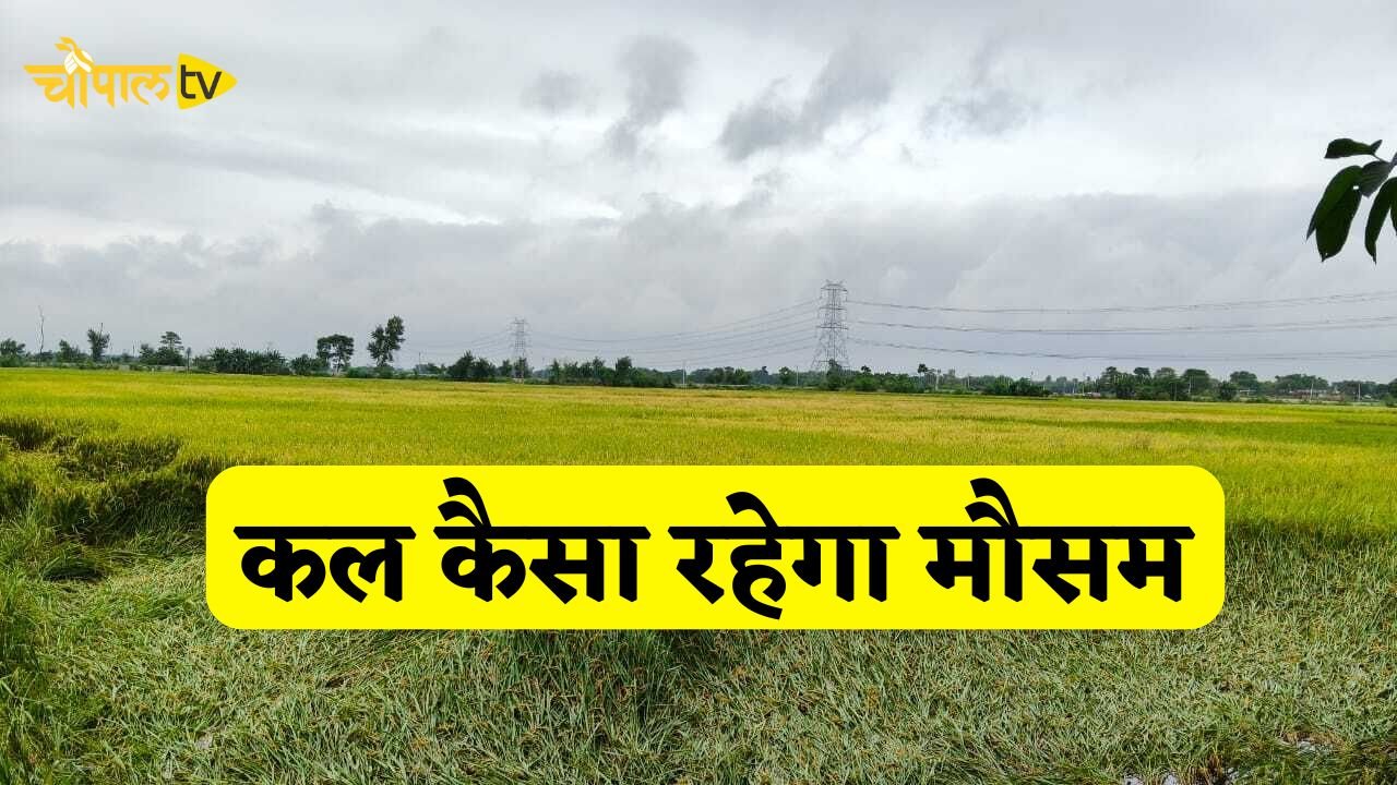 Kal Ka Mousam: दिल्ली-NCR समेत हरियाणा-राजस्थान में कल कैसा रहेगा मौसम