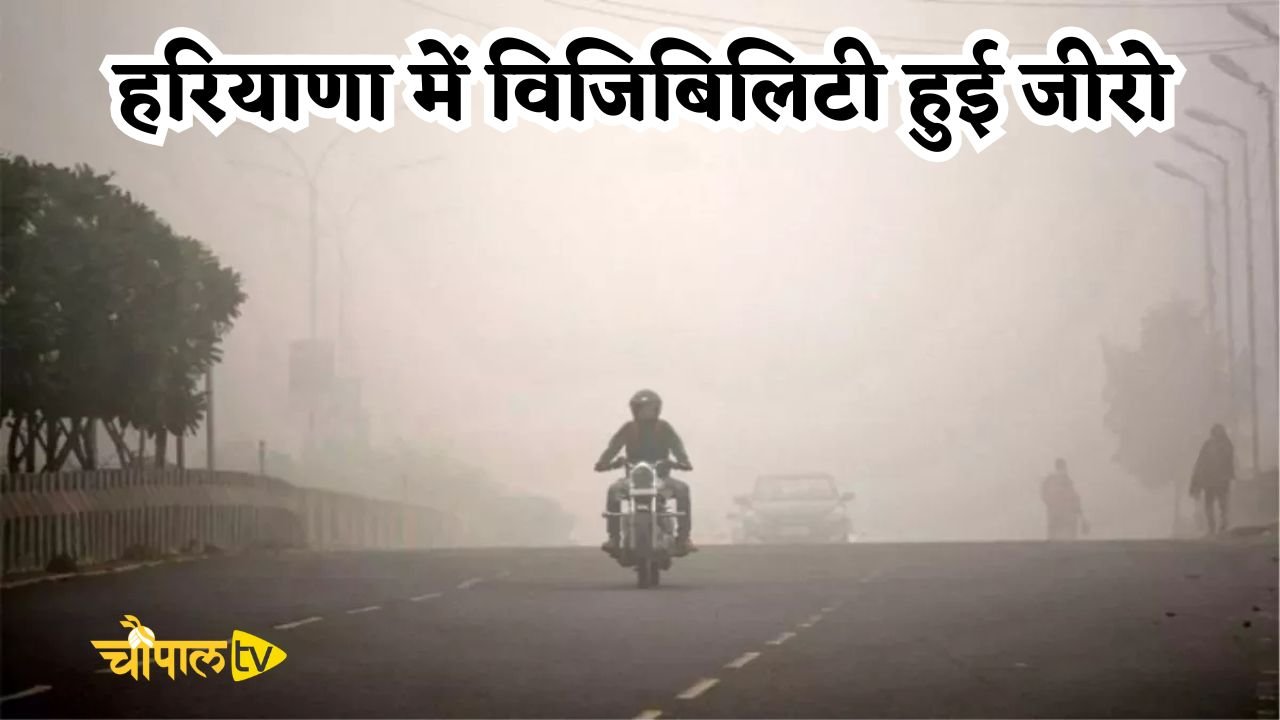 Haryana Weather: हरियाणा में विजिबिलिटी हुई जीरो,मौसम विभाग ने जारी किया येलो-ऑरेंज अलर्ट
