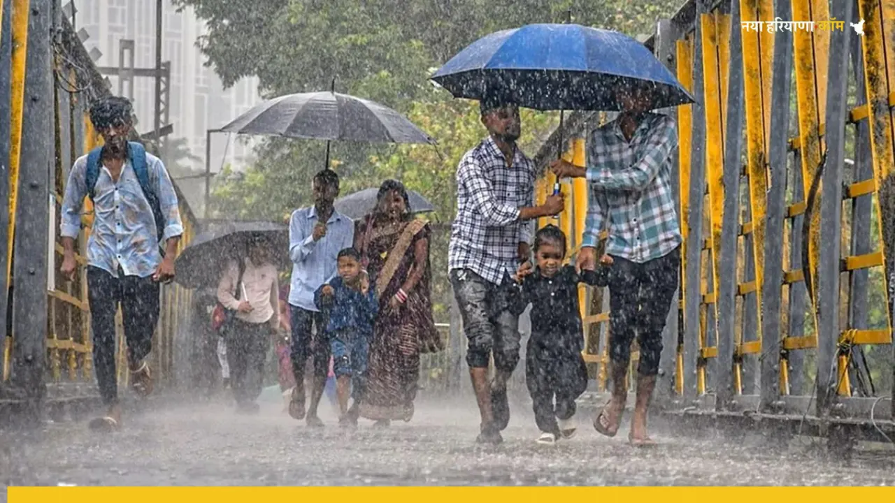 कृषि मौसम विज्ञान विभाग चौधरी चरणसिंह हरियाणा कृषि विश्वविद्यालय हिसार 19 दिसंबर,2025 : मौसम पूर्वानुमान: हरियाणा राज्य में मौसम आमतौर पर 24 दिसंबर तक परिवर्तनशील संभावित। इस दौरान 20 दिसंबर से एक और पश्चिमीविक्षोभ के आंशिक प्रभाव से 20 दिसंबर रात्रि से 22 दिसंबर के दौरान राज्य के ज्यादातर स्थानों पर बादलवाई रहने तथा उत्तरी हरियाणा में कुछ एक स्थानों पर छिटपुट बूंदाबांदी भी संभावित। संभावना है। इस दौरान दिन के तापमान में हल्की गिरावट व रात्रि तापमान में हल्की बढ़ोतरी तथा नमी बढ़ने से ज्यादातर क्षेत्रों में पर अलसुबह धुंध भी रहने की संभावना है। परंतु 23 दिसंबर से उत्तर व उत्तर पश्चिमी शीत हवाएं चलने से विशेषकर रात्रि तापमान में फिर से गिरावट संभावित। ##########$$$#### डॉ मदन खीचड़ विभागाध्यक्ष कृषि मौसम विज्ञान विभाग चौधरी चरणसिंह हरियाणा कृषि विश्वविद्यालय हिसार